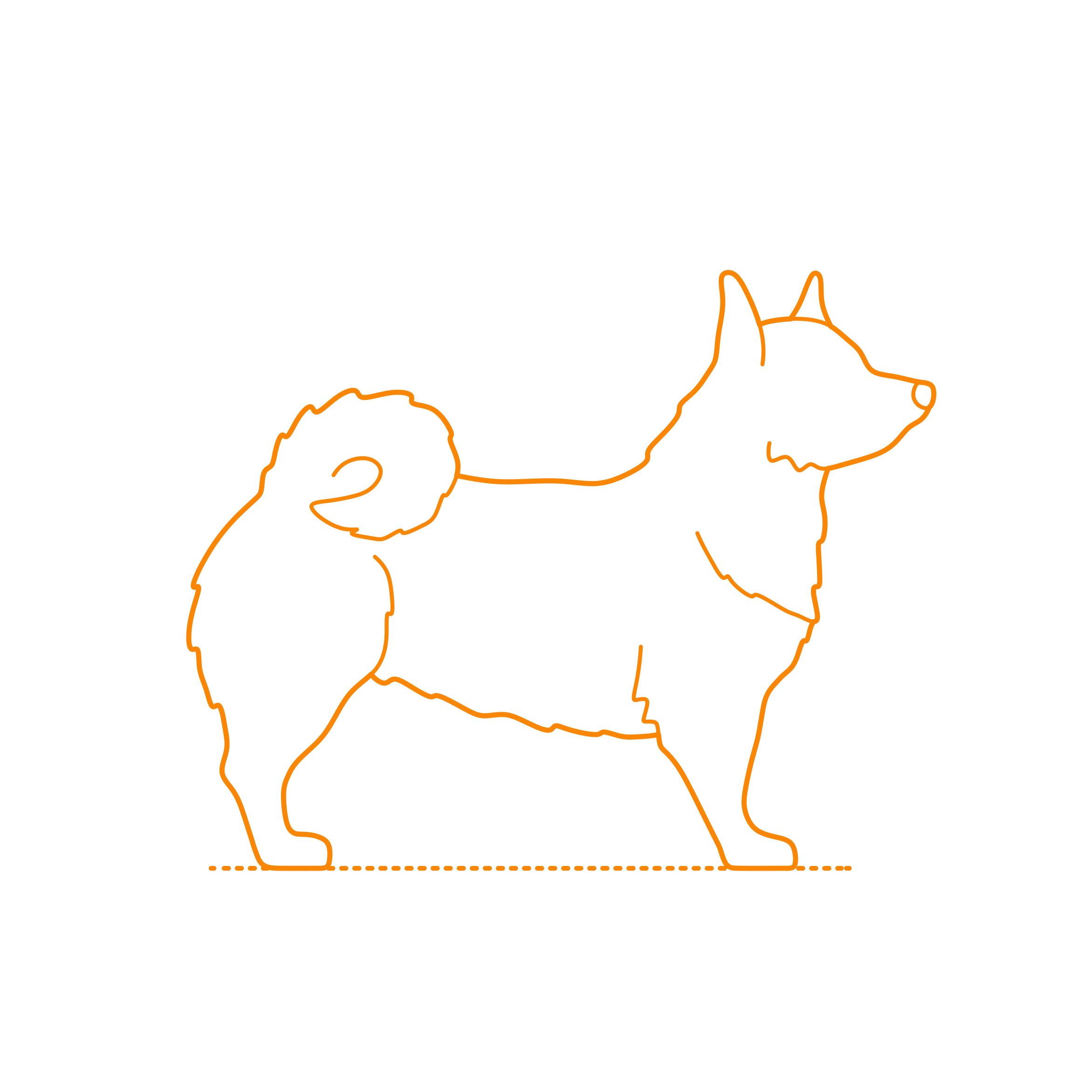 Animals Dogs Swedish Vallhund Svg Line Art Free Vectors